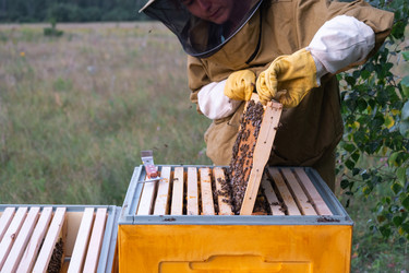 Similar image 22630069