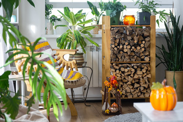 Similar image 22630071