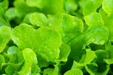 Similar image 22630076