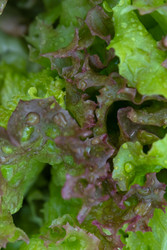 Similar image 22630077