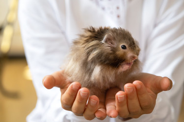 Similar image 22630079