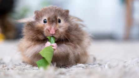 Similar image 22630084