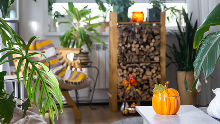 Similar image 22630085