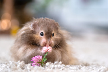 Similar image 22630090