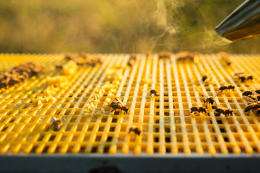 Similar image 22630092