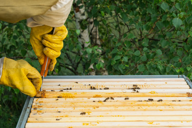 Similar image 22630093