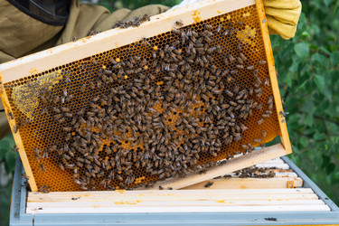 Similar image 22630096