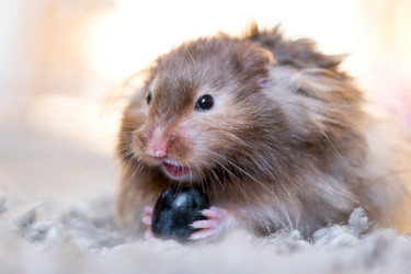 Similar image 22630097