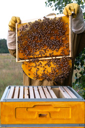 Similar image 22630098