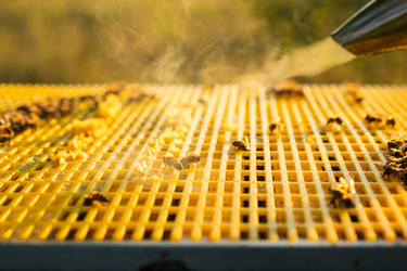 Similar image 22630099