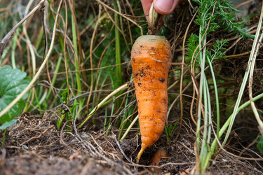 Similar image 22630101