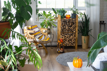 Similar image 22630102