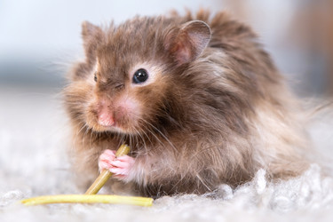 Similar image 22630104