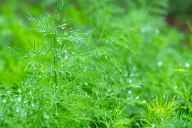 Similar image 22630105