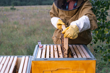 Similar image 22630107