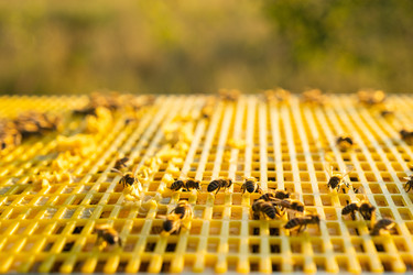 Similar image 22630108