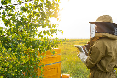 Similar image 22630110