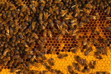 Similar image 22630116