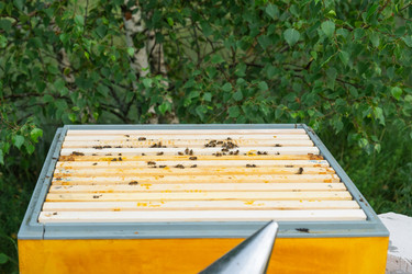 Similar image 22630118