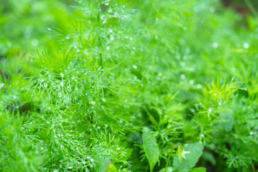 Similar image 22630119