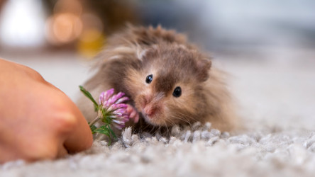 Similar image 22630120