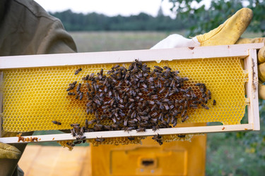 Similar image 22630122