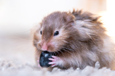 Similar image 22630124