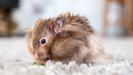 Similar image 22630126