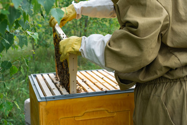 Similar image 22630128