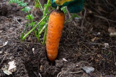 Similar image 22630132