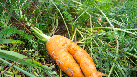 Similar image 22630133