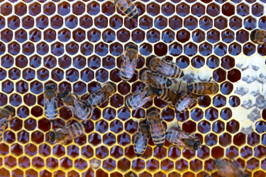 Similar image 22630134