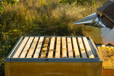 Similar image 22630136