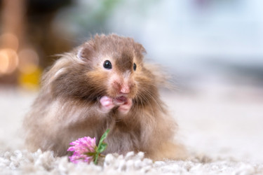 Similar image 22630137