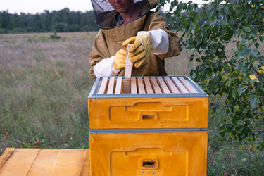 Similar image 22630138