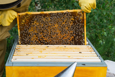 Similar image 22630139