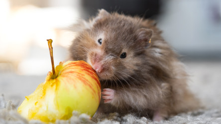 Similar image 22630140