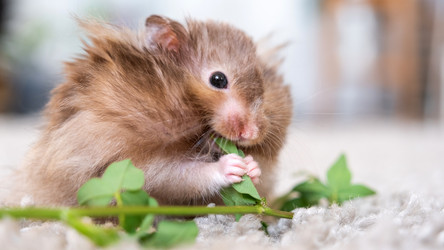 Similar image 22630141