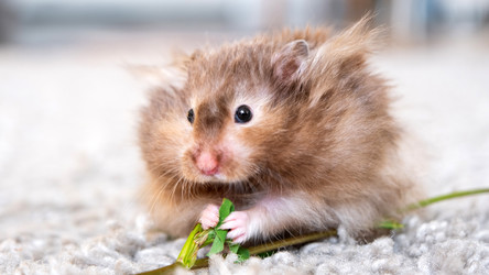 Similar image 22630144