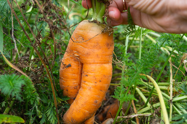 Similar image 22630147