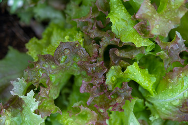 Similar image 22630148