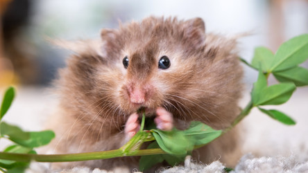 Similar image 22630150