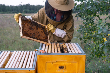 Similar image 22630151