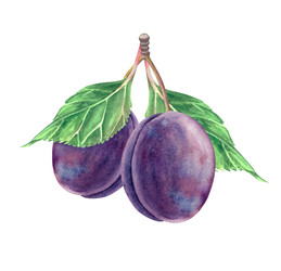 Similar image 22633452