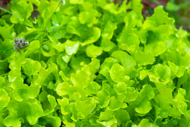 Similar image 22630153