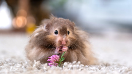 Similar image 22630154