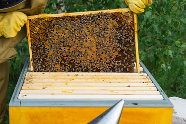 Similar image 22630155