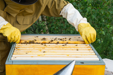 Similar image 22630157