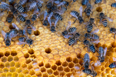 Similar image 22630158