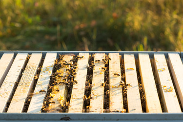 Similar image 22630159